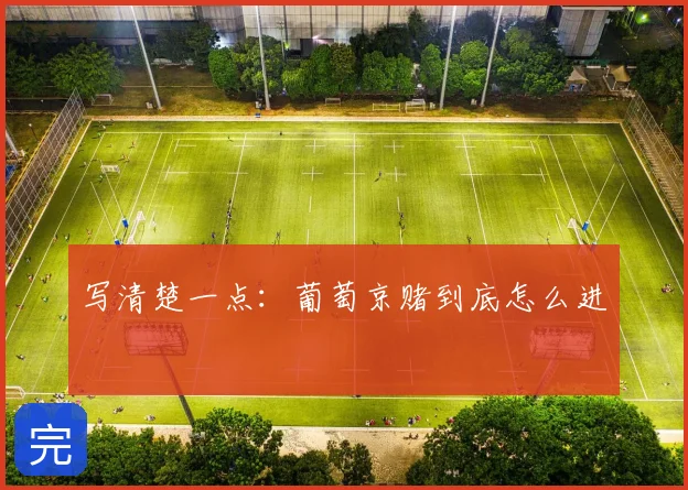 写清楚一点：葡萄京赌到底怎么进